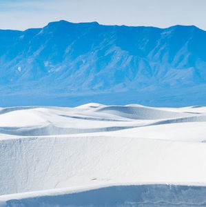 Meet your Posher, Jing